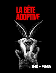 INSOMNIA - La Bête adoptive