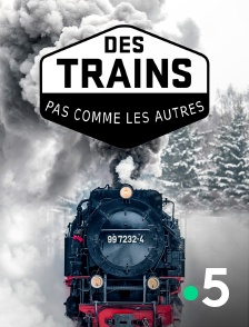 France 5 - Des trains pas comme les autres