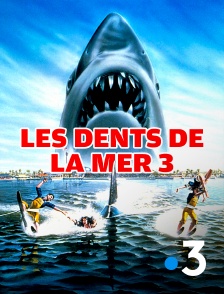 France 3 - Les dents de la mer 3