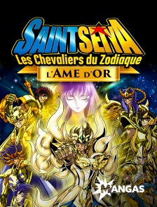 MANGAS - Saint Seiya - Les chevaliers du Zodiaque : L'Âme d'Or