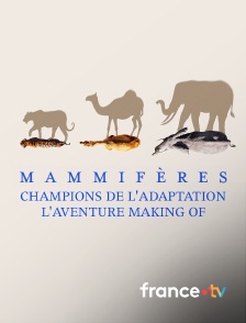 france.tv - Mammifères, champions de l'adaptation - l'aventure - Making of