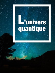 L'univers quantique