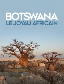 Botswana, le joyau africain