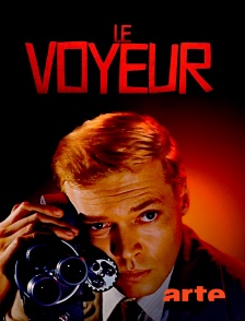 Arte - Le Voyeur