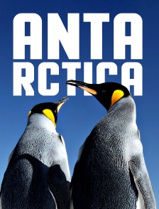 Antarctica, sur les traces de l'empereur