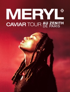 Meryl au Zénith de Paris