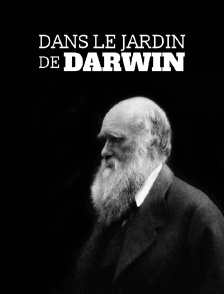 Dans le jardin de Darwin