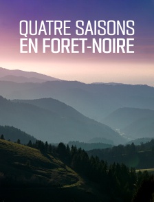 Quatre saisons en Forêt-Noire