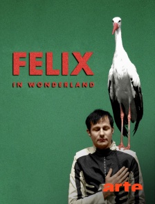 Arte - Felix in Wonderland