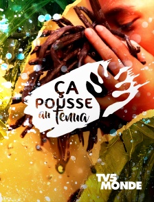 TV5MONDE - Ça pousse au fenua
