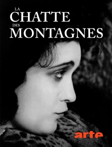Arte - La chatte des montagnes