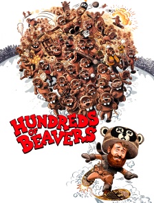 Hundreds of beavers