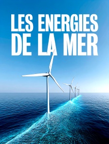 Les énergies de la mer, toujours en lice ?
