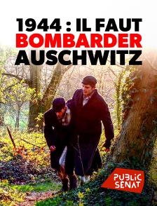 Public Sénat - 1944 : il faut bombarder Auschwitz