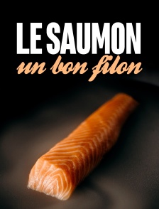 Le saumon, le bon filon