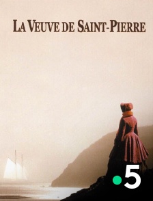 La veuve de Saint-Pierre