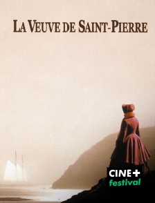 CINE+ Festival - La veuve de Saint-Pierre