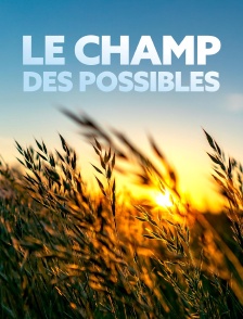 Le champ des possibles