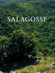 Salagosse