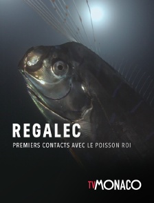 TV Monaco - Régalec, premiers contacts avec le poisson roi