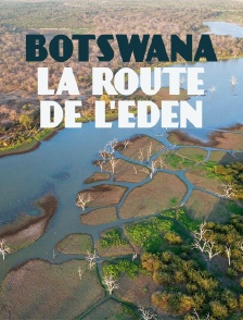 Botswana, la route de l'eden