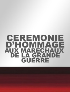 Cérémonie d'hommage aux maréchaux de la Grande Guerre