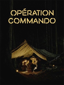 Opération commando