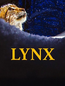 Lynx