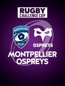Rugby - Challenge Cup : Montpellier / Ospreys