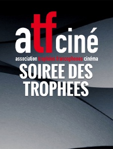 Soirée des trophées francophones du cinéma 2016