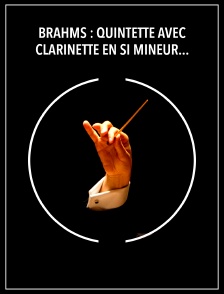 Brahms : Quintette avec clarinette en si mineur, opus 115 - Berliner Solisten