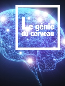 Le génie du cerveau