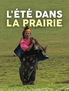 L'été dans la prairie