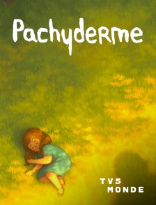TV5MONDE - Pachyderme