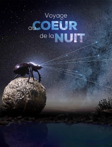 Voyage au coeur de la nuit
