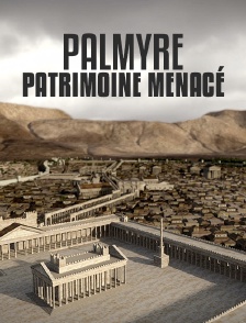 Palmyre, patrimoine menacé