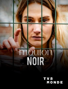TV5MONDE - Mouton noir