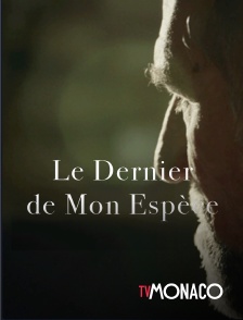 TV Monaco - Le dernier de mon espèce