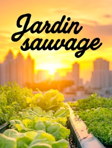 Jardin sauvage