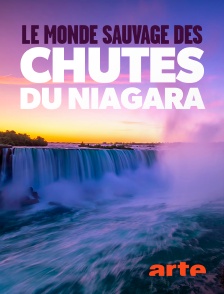 Arte - Le monde sauvage des chutes du Niagara