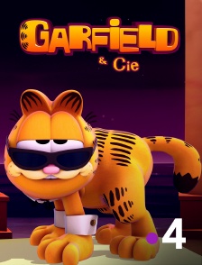 France 4 - Garfield & Cie