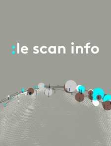 Le Scan info