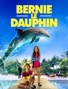 Bernie le dauphin