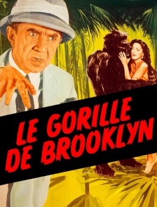 Le gorille de Brooklyn