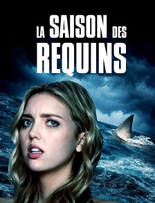 La saison des requins