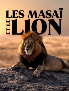Les Masaï et le lion