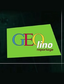 GEOlino