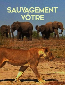 Sauvagement vôtre