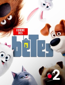 France 2 - Comme des bêtes