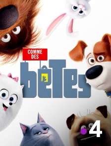 France 4 - Comme des bêtes